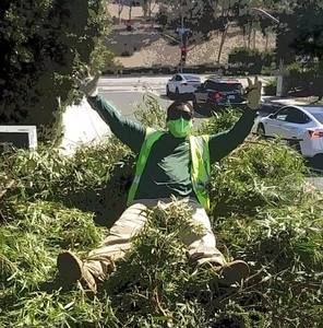 Meet your Posher, Junior